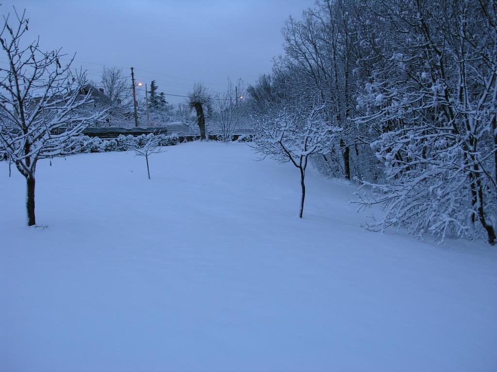 Stirenca B&B Trieste Exterior photo